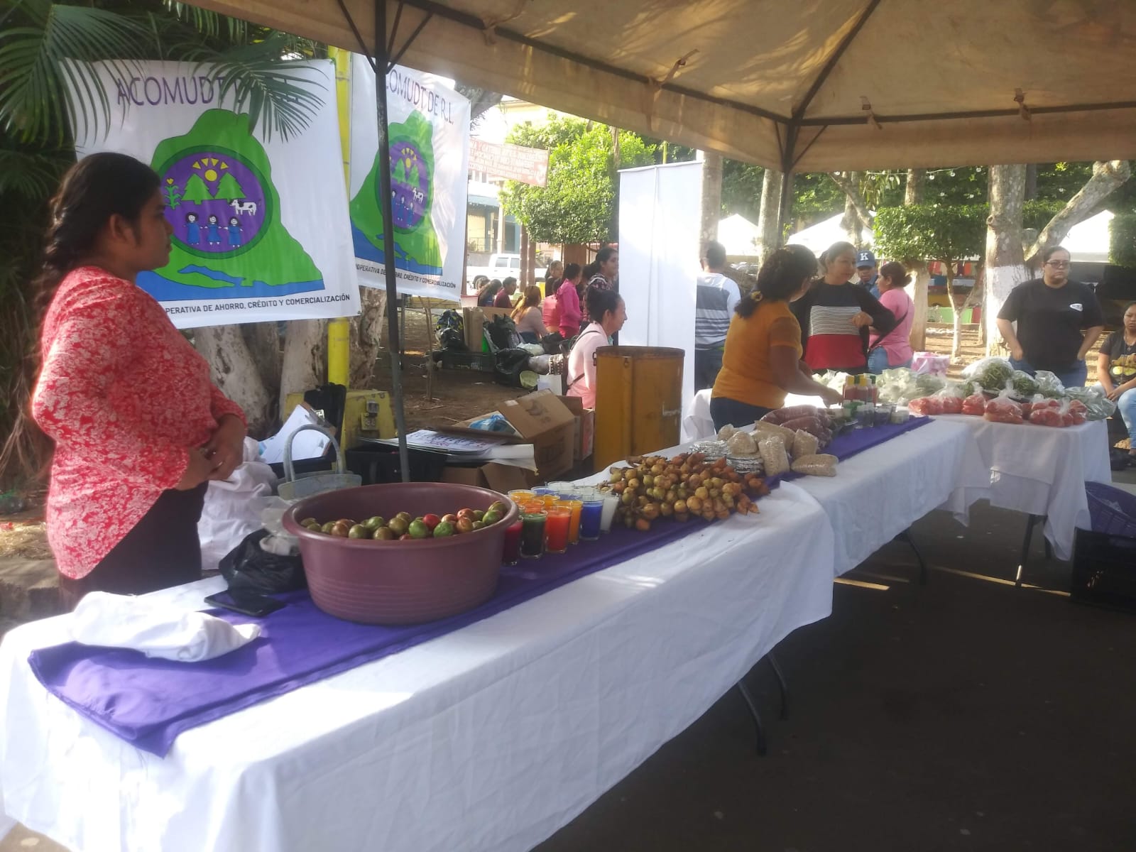 Mujeres productoras de las comunidades de Berlín 